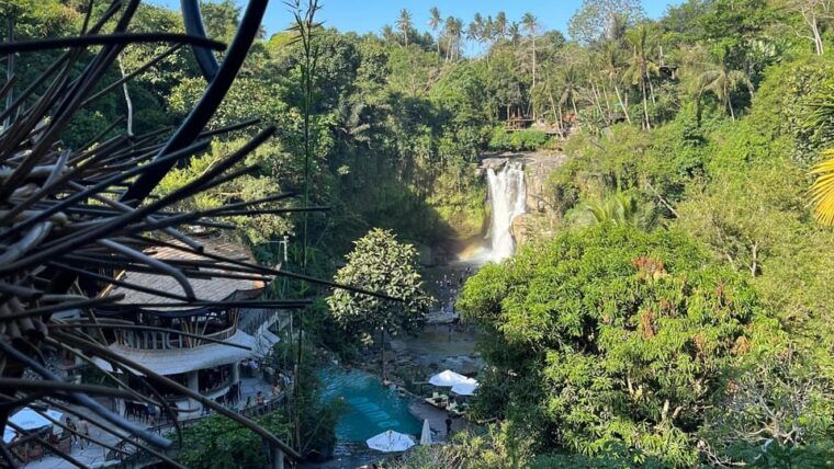 bali-monkey-forest-rice-terrace-tirta-empul