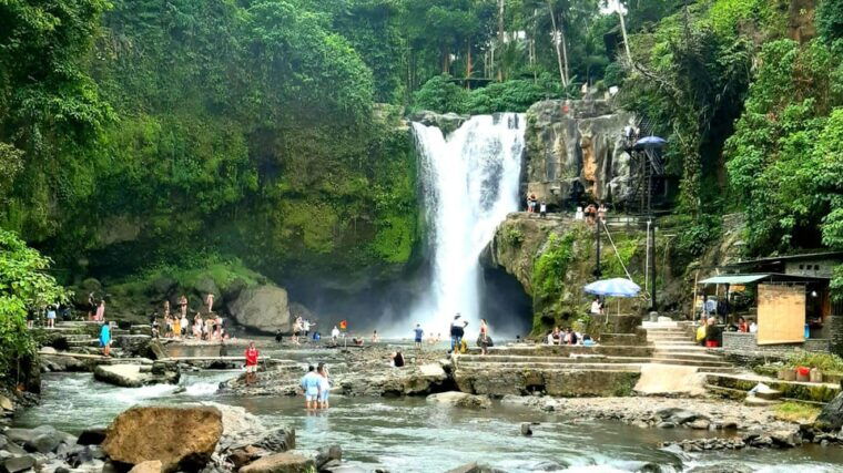bali-monkey-forest-rice-terrace-tirta-empul