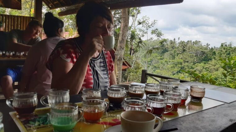 bali-monkey-forest-rice-terrace-tirta-empul