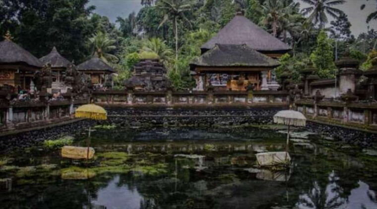 bali-monkey-forest-rice-terrace-water-temple-waterfall