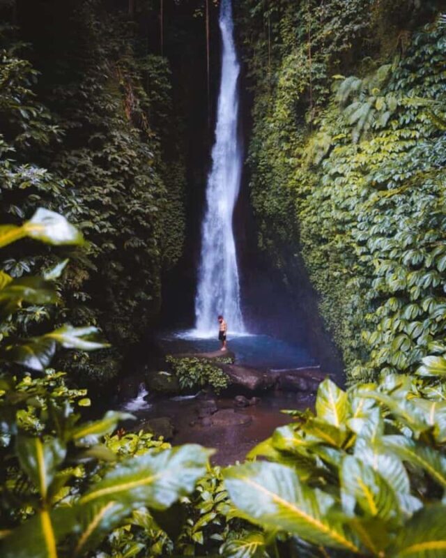 Bali: Monkey Forest Sangeh ,Temple & Waterfall- Private Tour - Who is this tour best for?