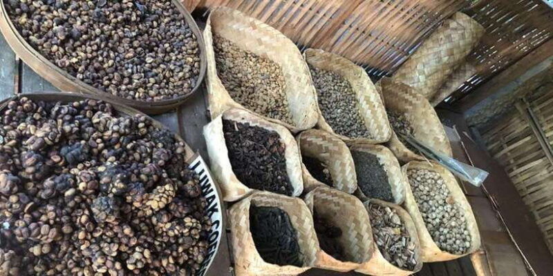 bali-monkey-forest-waterfalls-rice-terracep-and-coffee