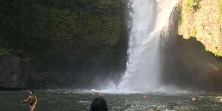 bali-monkey-forest-waterfalls-rice-terracep-and-coffee