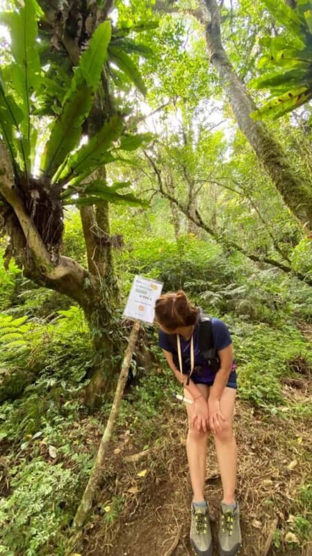Bali: Mount Adeng Guided Hike with Temple Visit - Exploring Bali’s Hidden Treasure: Mount Adeng Guided Hike with Temple Visit