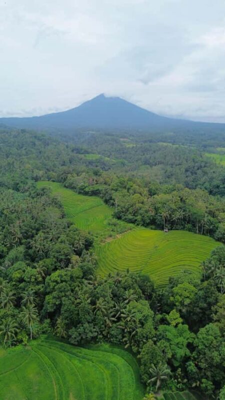 Bali: Mount Batukaru Sunrise Trekking Experience - What to Expect from the Experience