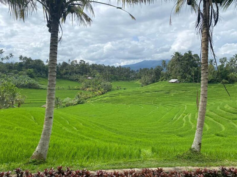 Bali: Mount Batukaru Sunrise Trekking Experience - Authentic Insights from Reviewers