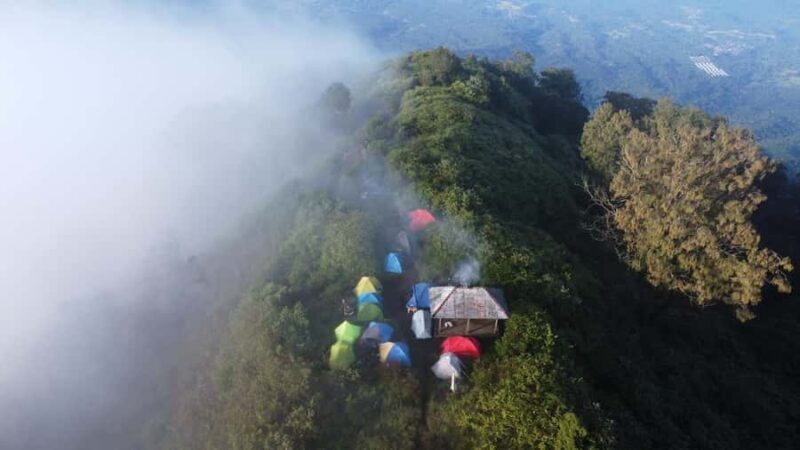 Bali: Mount Batukaru Sunrise Trekking Experience - The Sum Up