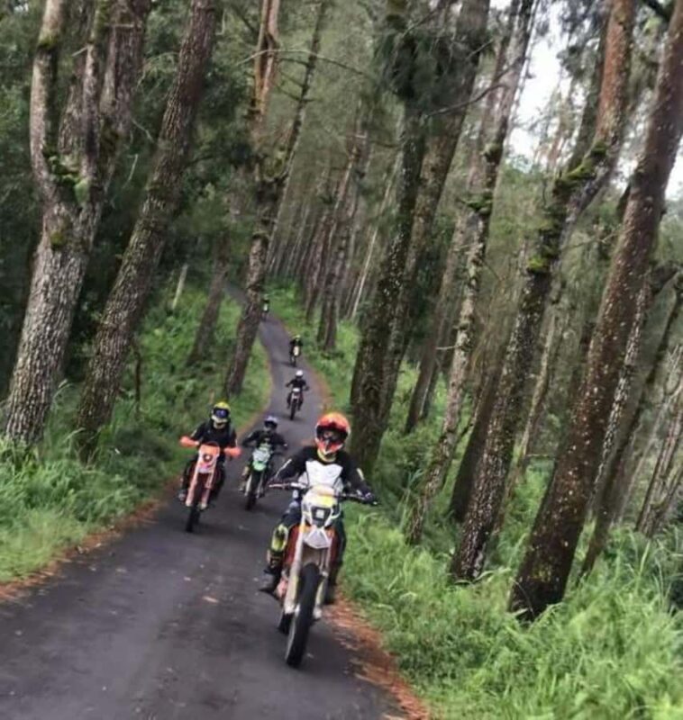 Bali: Mount Batur Full Day Dirt Bike Tours - Final Thoughts on Value and Suitability