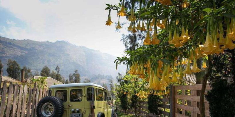 bali-mount-bromo-and-kawah-ijen-3-day-volcanic-trip