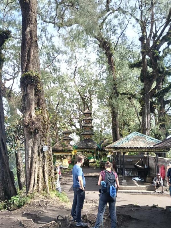 Bali: Mount Catur Trek from Pelaga and finish at Bedugul - Introduction to the Mount Catur Trek Experience