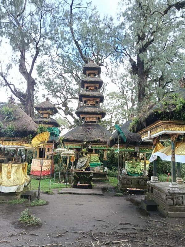 Bali: Mount Catur Trek from Pelaga and finish at Bedugul - What to Expect on the Trek