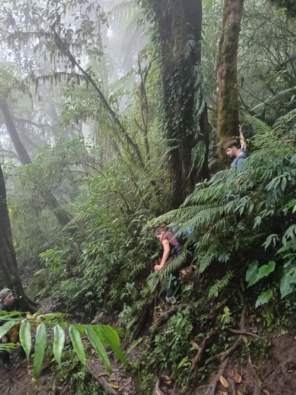 Bali: Mount Catur Trek from Pelaga and finish at Bedugul - The Sum Up: Who Will Love This Trek?