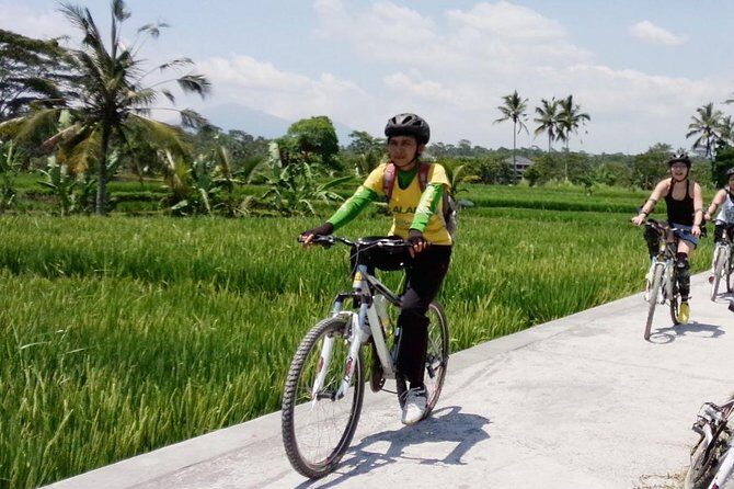 Bali Mountains and Villages Cycling Tour - Key Points