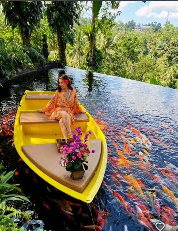 Bali Nature Swing & Relaxing Koi Garden Boat with opt Lunch - Key Points
