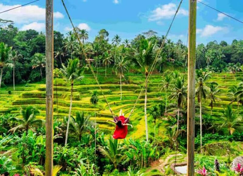 Bali Nature Swing & Relaxing Koi Garden Boat with opt Lunch - Frequently Asked Questions