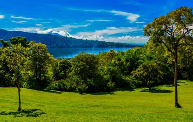 Bali: Natures Bloom, Lake Reflections and Strawberry Bliss - The Blooms Garden: A Kaleidoscope of Flowers