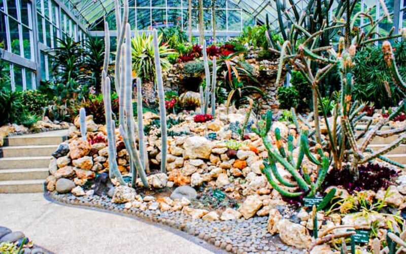 Bali: Natures Bloom, Lake Reflections and Strawberry Bliss - Strawberry Picking at a Local Farm