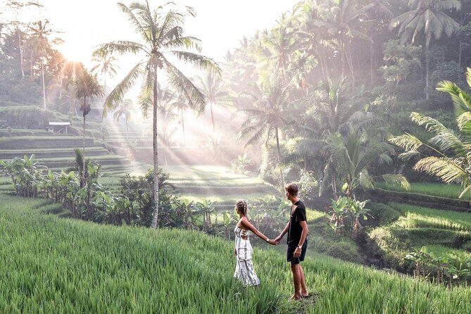 Bali Night Market Experience and Ubud Highlights tour - An In-Depth Look at the Itinerary