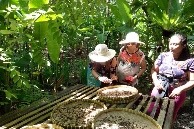 Bali Night Market Experience and Ubud Highlights tour - Frequently Asked Questions