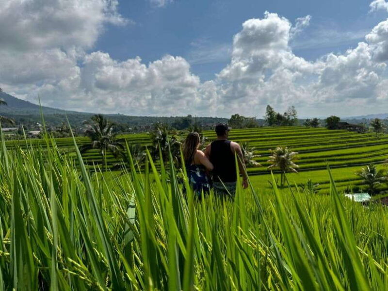 bali-north-bali-customizable-itineraries-trip-with-transfer