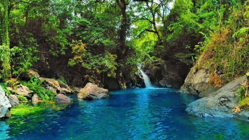 Bali: North Bali Private Tour With Flexible Itenarary - What’s Included and How It All Comes Together