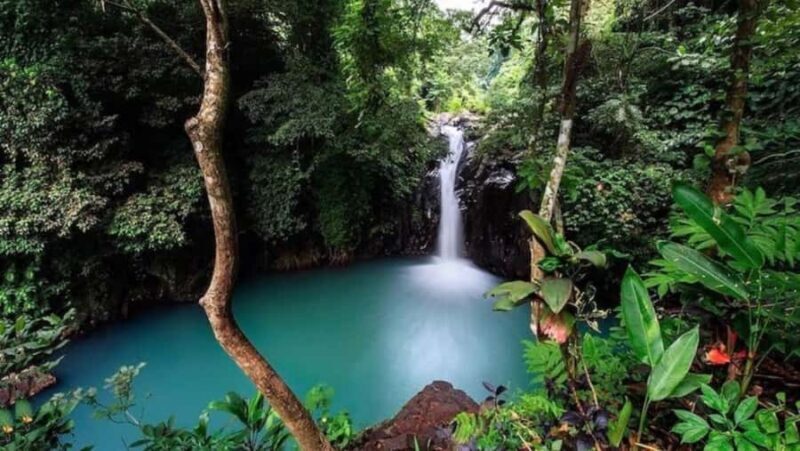 Bali: North Bali Tour With Flexible Itinerary Options - Final Verdict