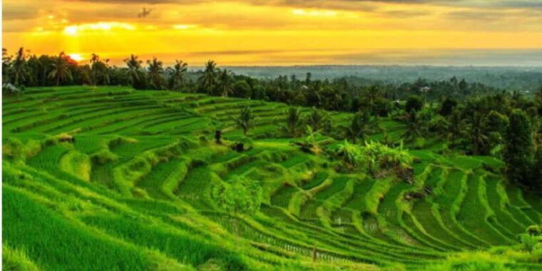 bali-north-bali-tour-with-jatiluwih-handara-with-transfers