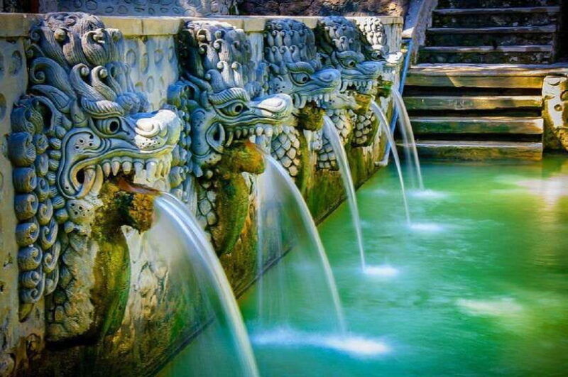 bali-north-bali-tour-with-waterfall-vihara-and-hot-spring