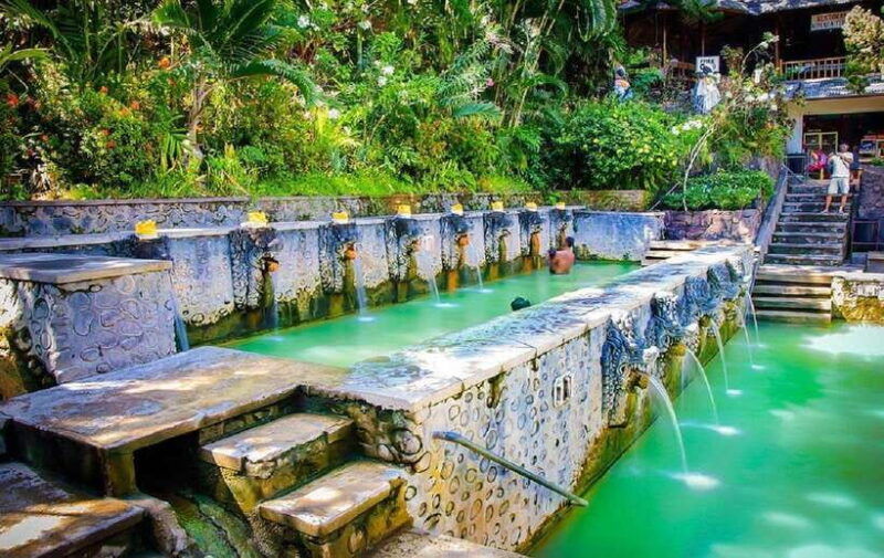 bali-north-bali-tour-with-waterfall-vihara-and-hot-spring
