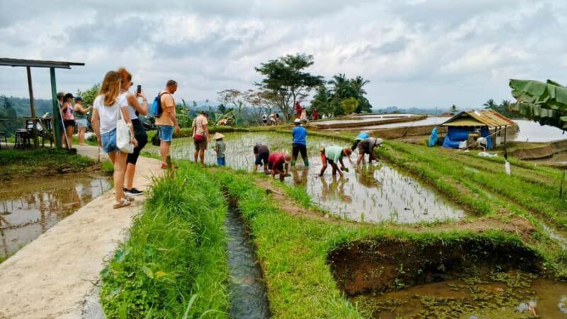 Bali: North Bali Tour With Yeh Hoo Waterfall - Ulun Danu Beratan Temple: A Water’s Edge Wonder