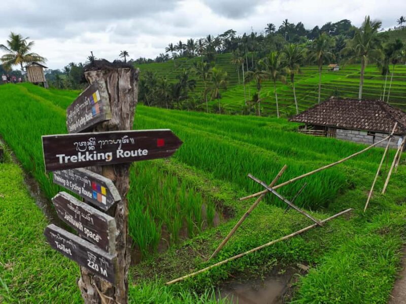 Bali: North Bali Tour With Yeh Hoo Waterfall - Yeh Hoo Waterfall: The Refreshing Finale