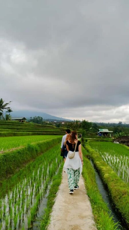 Bali: North Bali Tour With Yeh Hoo Waterfall - Return & Drop-Off