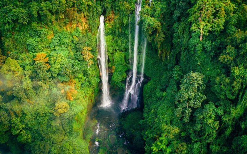 Bali: North Highlights Private Full-Day Customized Tour - A Comprehensive Look at the North Bali Private Tour