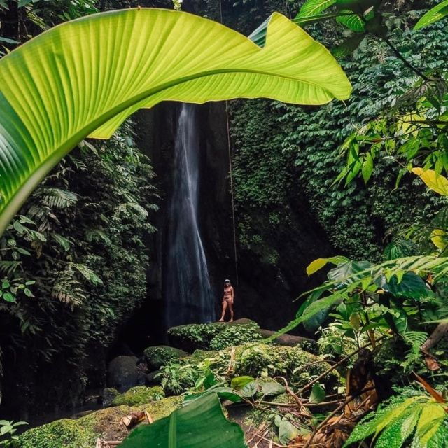 bali-northern-bali-private-day-trip-with-hotel-transfers