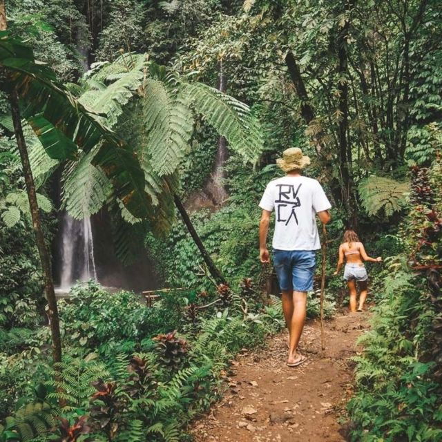 bali-northern-bali-private-day-trip-with-hotel-transfers