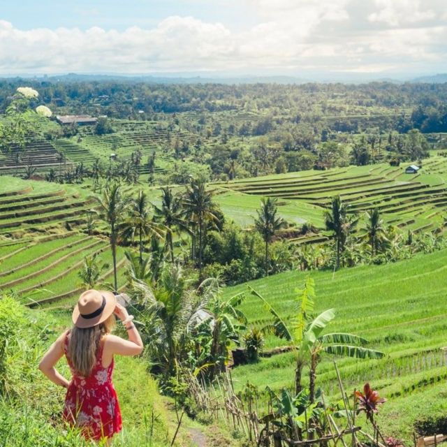bali-northern-bali-private-day-trip-with-hotel-transfers