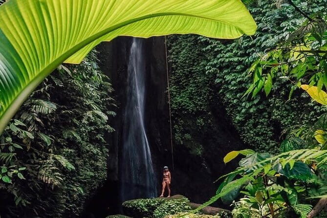 Bali : Northern Bali Private Day Trip with Transfer - Key Points