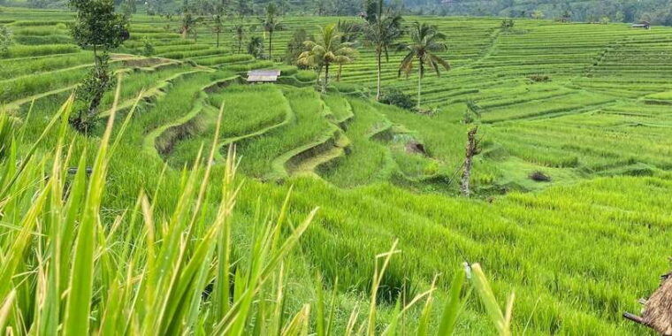 bali-northern-trip-majestic-waterfall-tour