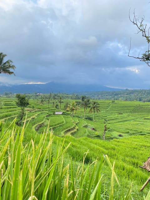 bali-northern-trip-majestic-waterfall-tour
