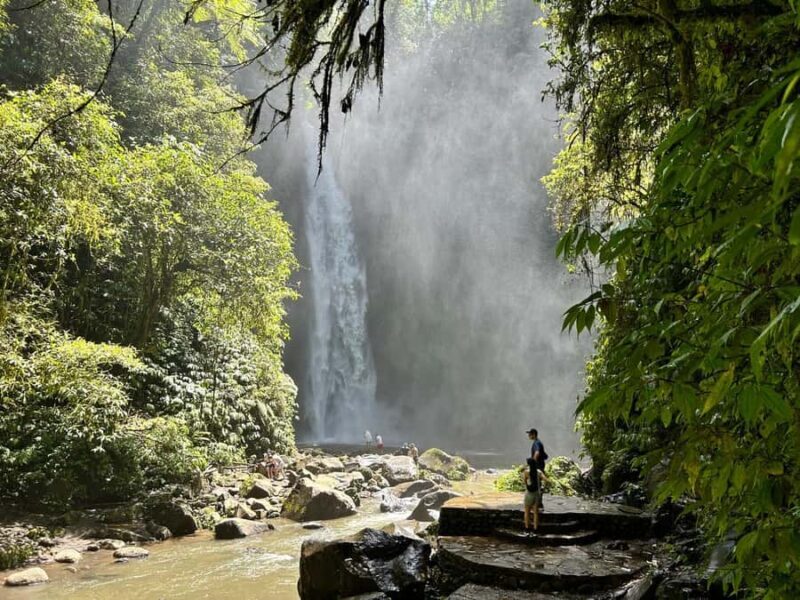 Bali: Nung-Nung Waterfall & Rice Terraces Tour - Key Points