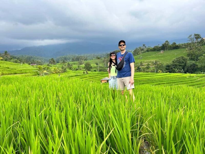 Bali: Nung-Nung Waterfall & Rice Terraces Tour - Practical Details and What to Expect