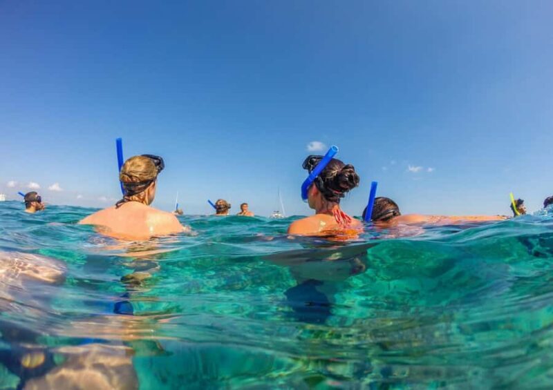 Bali/Nusa Dua: Snorkeling, Glass Boat Ride & Turtle Center - Key Points