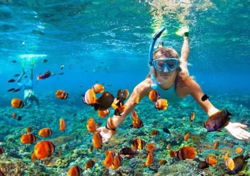 Bali/Nusa Dua: Snorkeling, Glass Boat Ride & Turtle Center - The Snorkeling Experience: Pros and Cons