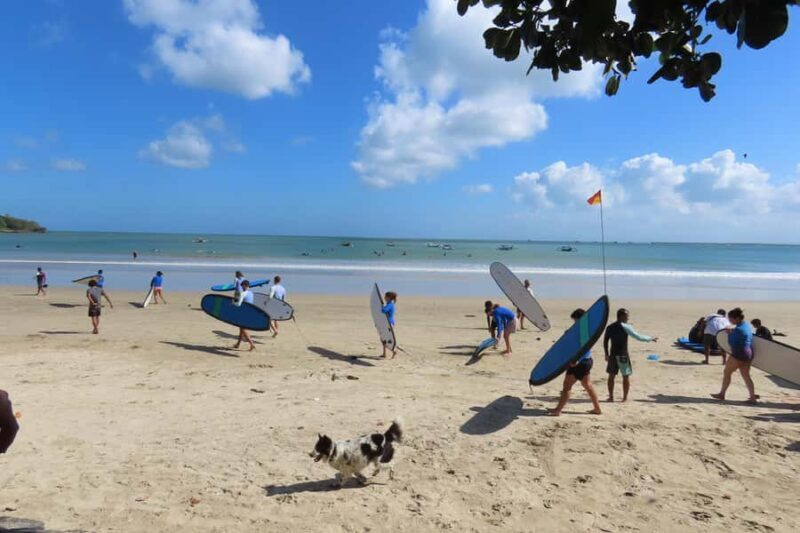 Bali/Nusa Dua: Surf Class for Beginner and Intermediate - Key Points