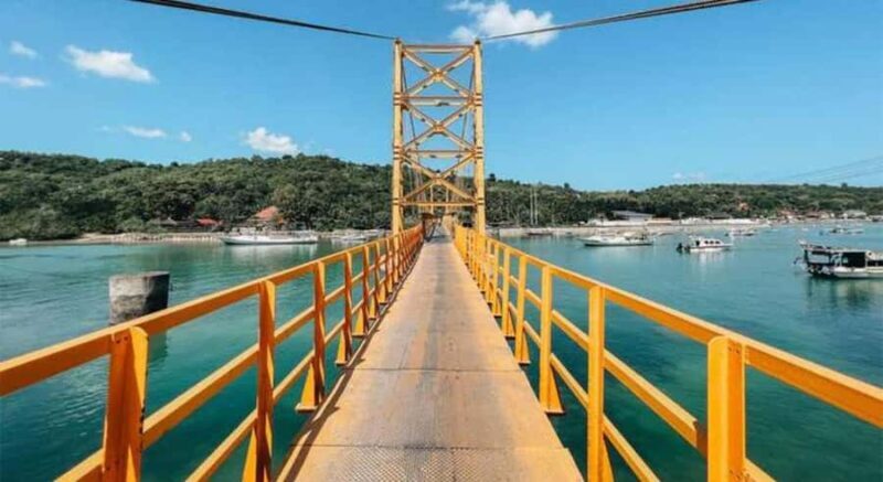 Bali: Nusa Lembongan Island Tour with Lunch & Transfers - Who Should Consider This Tour?