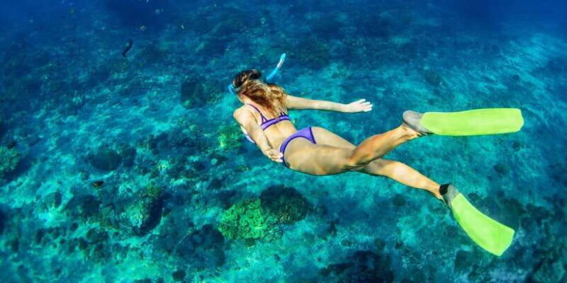 bali-nusa-lembongan-snorkeling-mangrove-forest-trip