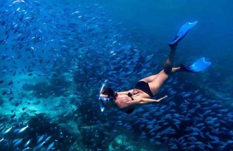 bali-nusa-penida-day-tour-with-all-inclusive