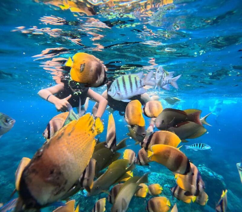 Bali: Nusa Penida Full-Day Trip with Snorkeling - Key Points