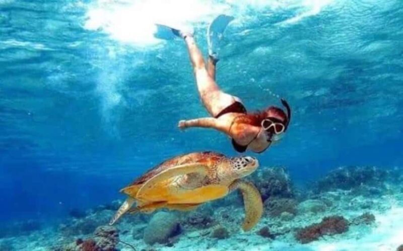 Bali: Nusa Penida Full-Day Trip with Snorkeling - Authentic Experiences From Past Travelers