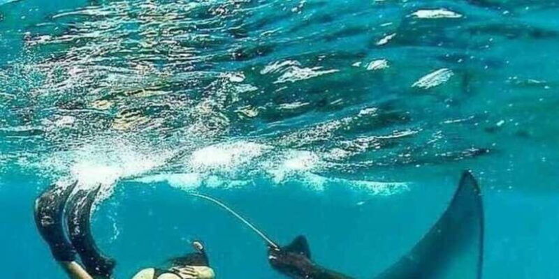 bali-nusa-penida-highlight-snorkeling-and-land-tour